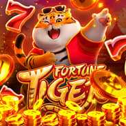 cd fas - Slots Casino ícone